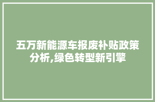 五万新能源车报废补贴政策分析,绿色转型新引擎 智能驾驶