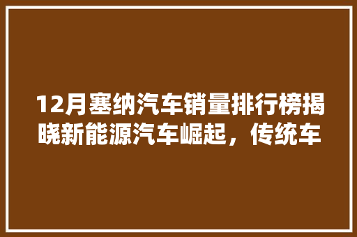 12月塞纳汽车销量排行榜揭晓新能源汽车崛起，传统车企面临挑战