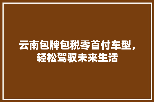 云南包牌包税零首付车型，轻松驾驭未来生活