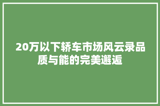 20万以下轿车市场风云录品质与能的完美邂逅