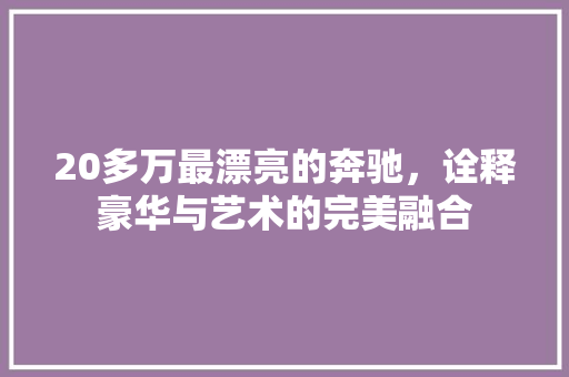 20多万最漂亮的奔驰，诠释豪华与艺术的完美融合