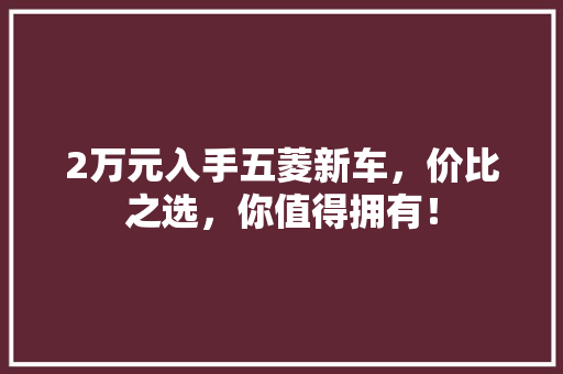 2万元入手五菱新车，价比之选，你值得拥有！
