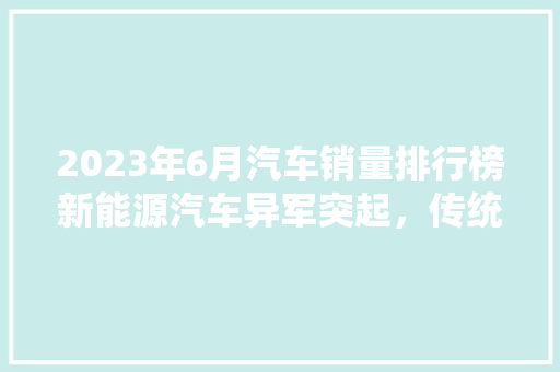 2023年6月汽车销量排行榜新能源汽车异军突起，传统车企转型压力加剧