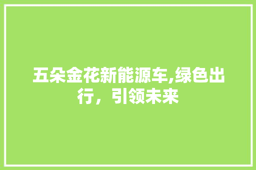 五朵金花新能源车,绿色出行，引领未来 新车资讯