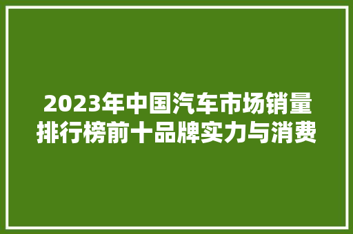 2023年中国汽车市场销量排行榜前十品牌实力与消费者选择的完美碰撞