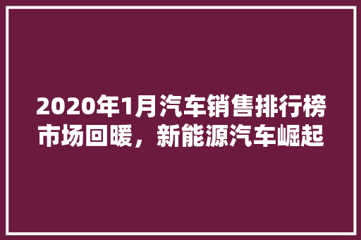 2020年1月汽车销售排行榜市场回暖，新能源汽车崛起