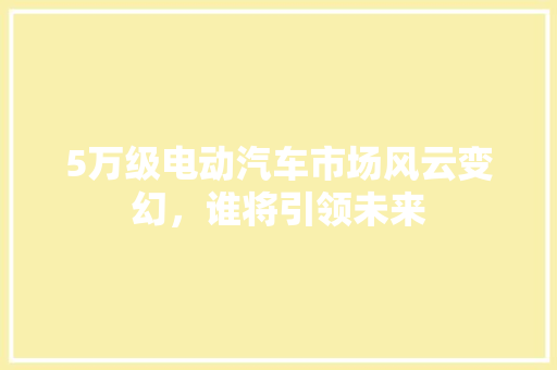 5万级电动汽车市场风云变幻，谁将引领未来
