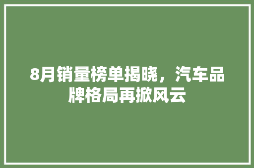 8月销量榜单揭晓，汽车品牌格局再掀风云