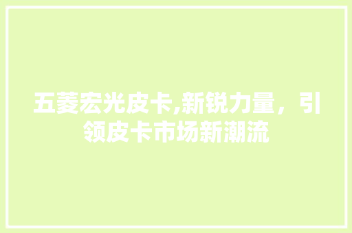 五菱宏光皮卡,新锐力量，引领皮卡市场新潮流