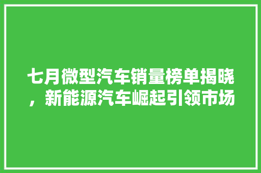 七月微型汽车销量榜单揭晓，新能源汽车崛起引领市场新趋势