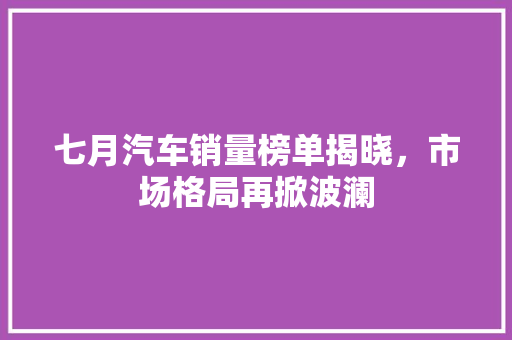 七月汽车销量榜单揭晓，市场格局再掀波澜