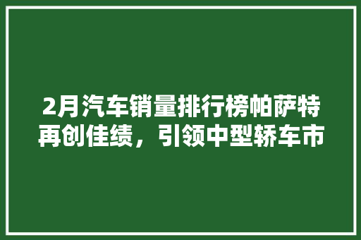 2月汽车销量排行榜帕萨特再创佳绩，引领中型轿车市场新潮流 智能驾驶