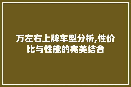 万左右上牌车型分析,性价比与性能的完美结合