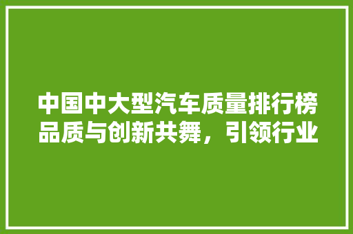 中国中大型汽车质量排行榜品质与创新共舞，引领行业发展新篇章