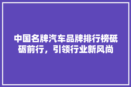 中国名牌汽车品牌排行榜砥砺前行，引领行业新风尚