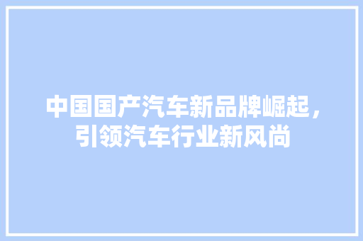 中国国产汽车新品牌崛起，引领汽车行业新风尚