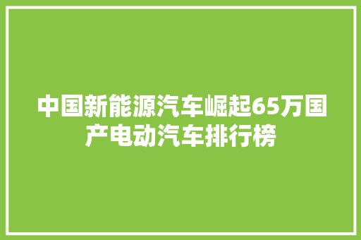中国新能源汽车崛起65万国产电动汽车排行榜