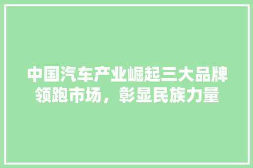 中国汽车产业崛起三大品牌领跑市场，彰显民族力量