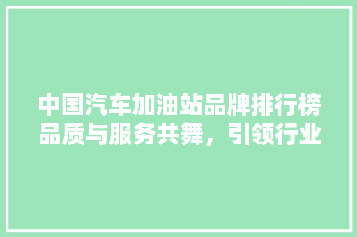 中国汽车加油站品牌排行榜品质与服务共舞，引领行业新风尚