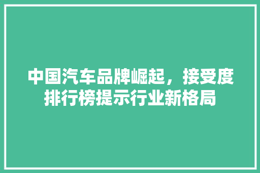 中国汽车品牌崛起，接受度排行榜提示行业新格局