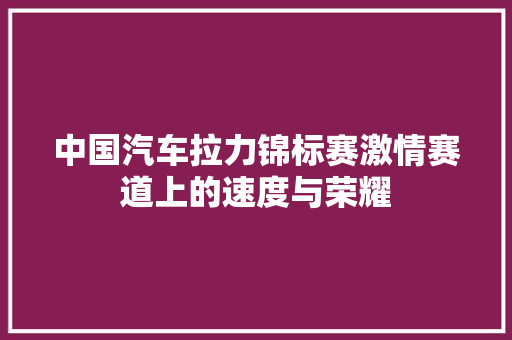 中国汽车拉力锦标赛激情赛道上的速度与荣耀