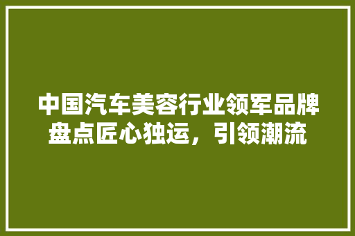 中国汽车美容行业领军品牌盘点匠心独运，引领潮流