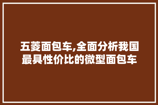 五菱面包车,全面分析我国最具性价比的微型面包车