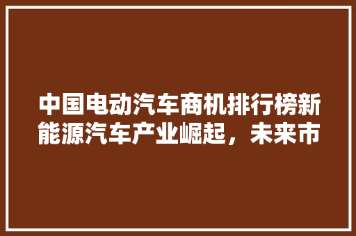 中国电动汽车商机排行榜新能源汽车产业崛起，未来市场潜力无限