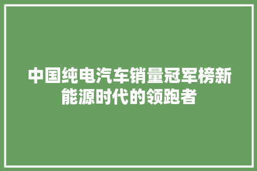 中国纯电汽车销量冠军榜新能源时代的领跑者