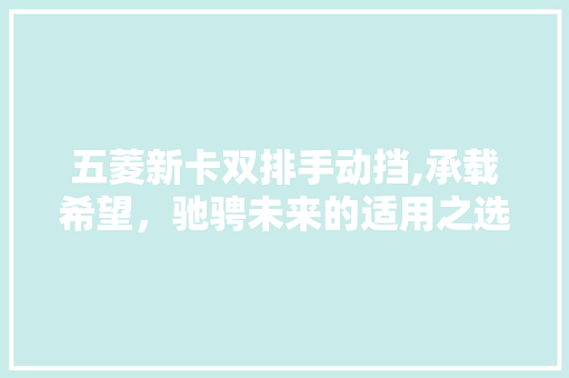 五菱新卡双排手动挡,承载希望，驰骋未来的适用之选 新能源汽车