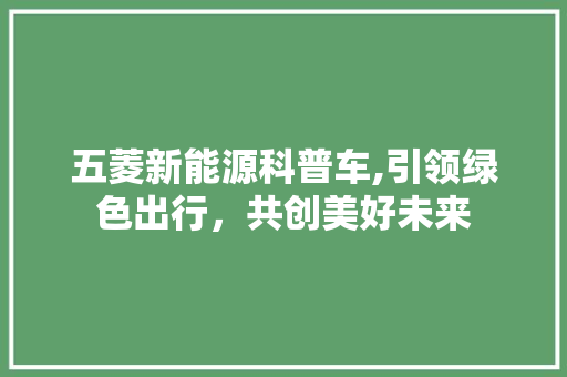 五菱新能源科普车,引领绿色出行，共创美好未来 汽车保养