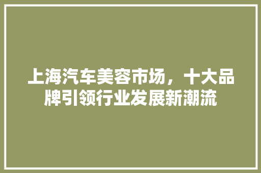 上海汽车美容市场，十大品牌引领行业发展新潮流