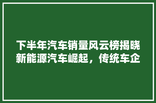 下半年汽车销量风云榜揭晓新能源汽车崛起，传统车企面临挑战