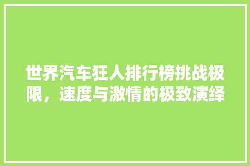 世界汽车狂人排行榜挑战极限，速度与激情的极致演绎