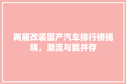 两厢改装国产汽车排行榜揭晓，潮流与能并存
