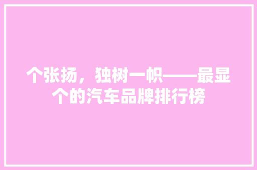 个张扬，独树一帜——最显个的汽车品牌排行榜