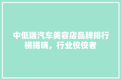 中低端汽车美容店品牌排行榜揭晓，行业佼佼者