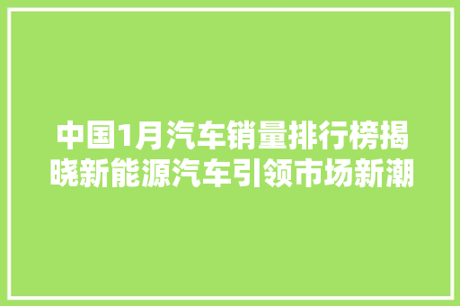中国1月汽车销量排行榜揭晓新能源汽车引领市场新潮流