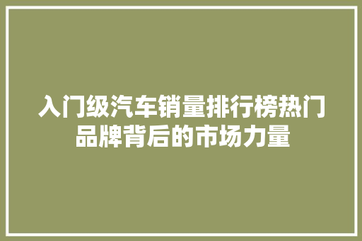 入门级汽车销量排行榜热门品牌背后的市场力量