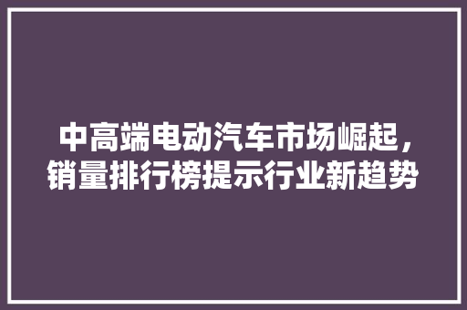 中高端电动汽车市场崛起，销量排行榜提示行业新趋势 智能驾驶