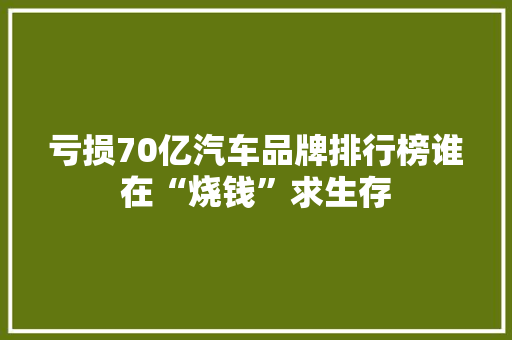 亏损70亿汽车品牌排行榜谁在“烧钱”求生存