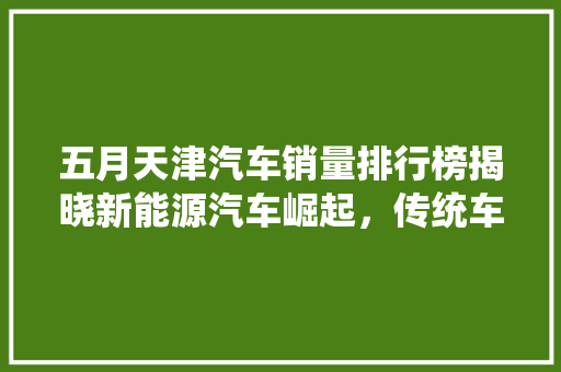 五月天津汽车销量排行榜揭晓新能源汽车崛起，传统车型稳居高位