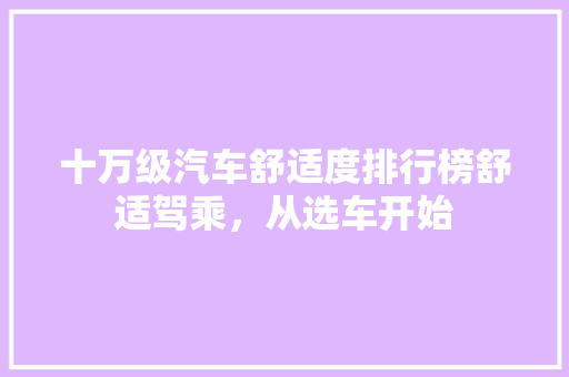 十万级汽车舒适度排行榜舒适驾乘，从选车开始 新能源汽车