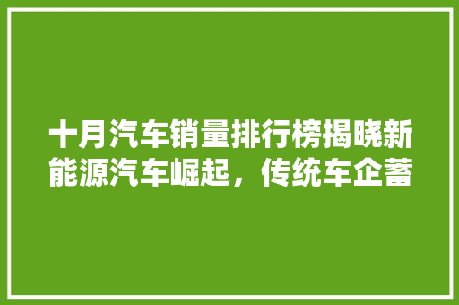 十月汽车销量排行榜揭晓新能源汽车崛起，传统车企蓄势待发