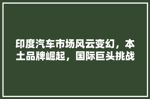 印度汽车市场风云变幻，本土品牌崛起，国际巨头挑战激烈