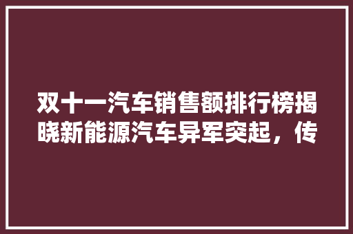 双十一汽车销售额排行榜揭晓新能源汽车异军突起，传统车企面临挑战