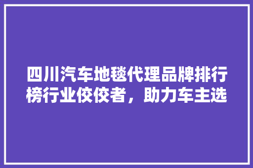 四川汽车地毯代理品牌排行榜行业佼佼者，助力车主选优品