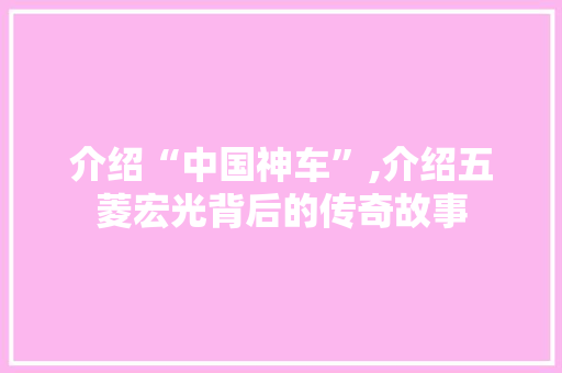 介绍“中国神车”,介绍五菱宏光背后的传奇故事