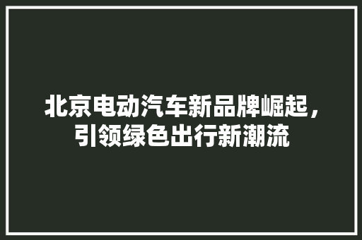 北京电动汽车新品牌崛起，引领绿色出行新潮流