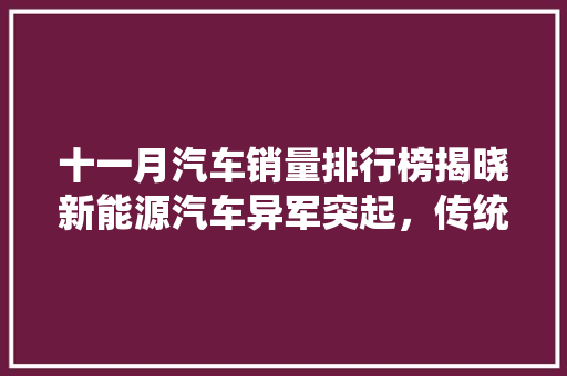十一月汽车销量排行榜揭晓新能源汽车异军突起，传统车企面临挑战
